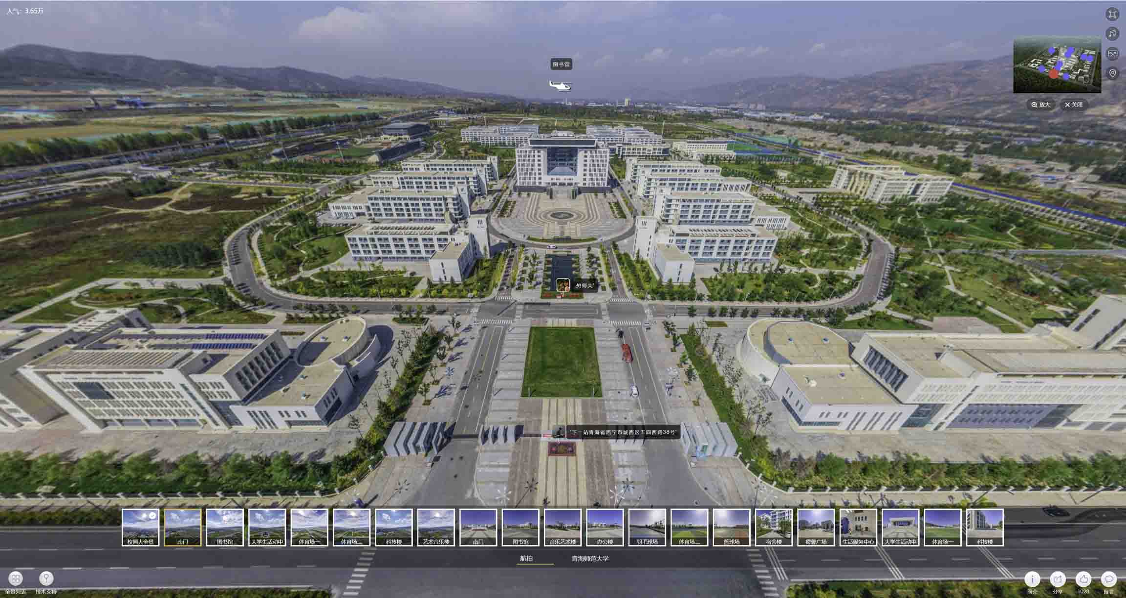 张家川油菜花-惊艳半生的花海仙境